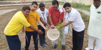 101 saplings planted on birthday