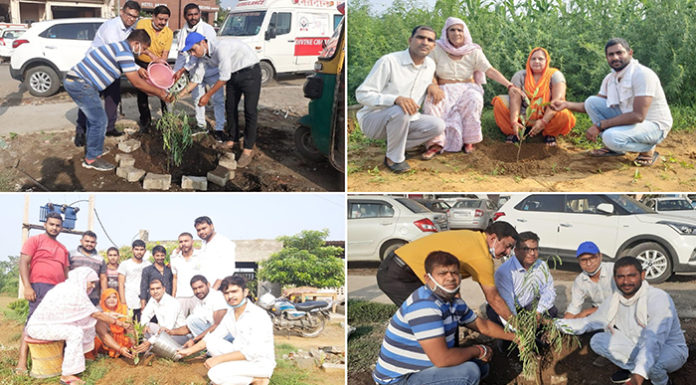 Planting craze on birthday is growing - Jaswant Pawar