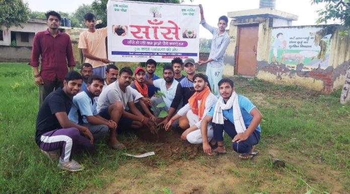 700 plants planted under Sushant Singh Rajput's dream - Jaswant Pawar