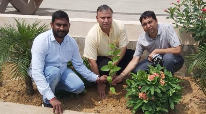 Green Revolution will bring green revolution in the field of environment - Vijay Pratap
