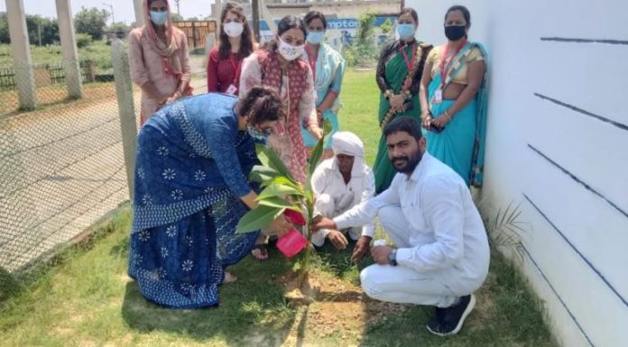 Plantation done by teachers on teachers day - Poonam Cincinnavar