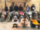 Crime Branch 56 arrested four gang gangsters including Desi Katta while exposing vehicle thief gang